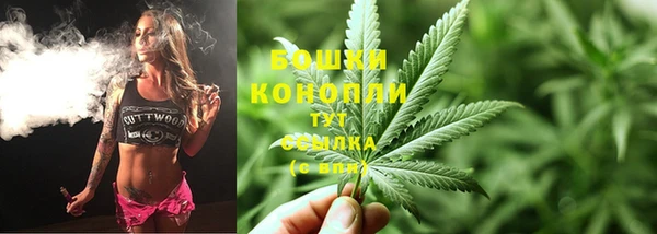 марки lsd Белокуриха