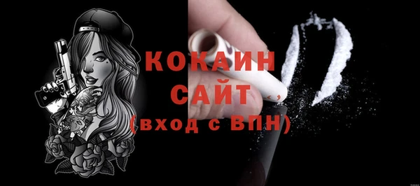 прущие грибы Богородицк
