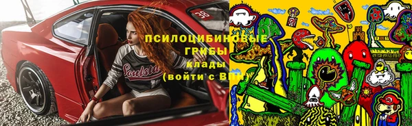 круглые Аркадак