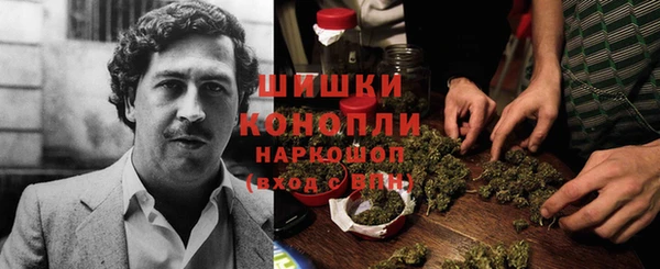 молекула духа Белоозёрский