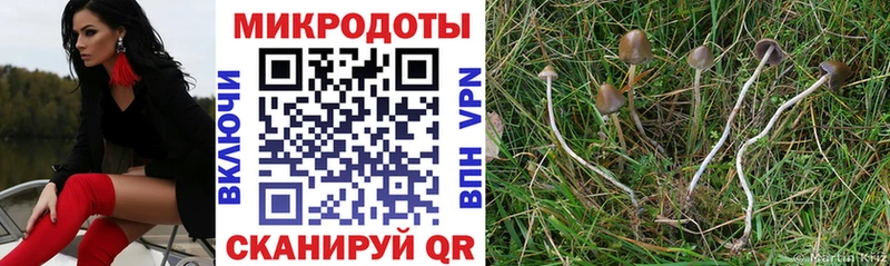 Псилоцибиновые грибы Psilocybine cubensis дарк нет клад Кимовск купить наркоту